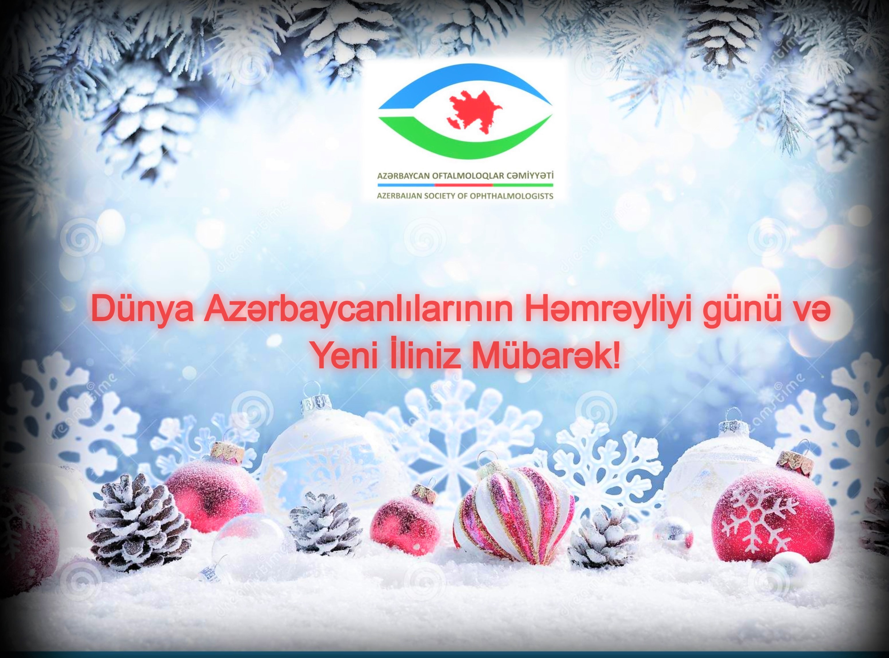 Dünya Azərbaycanlılarının həmrəyliyi günü və Yeni iliniz mübarək!